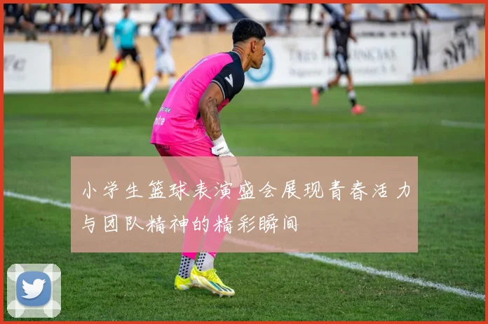 小学生篮球表演盛会展现青春活力与团队精神的精彩瞬间
