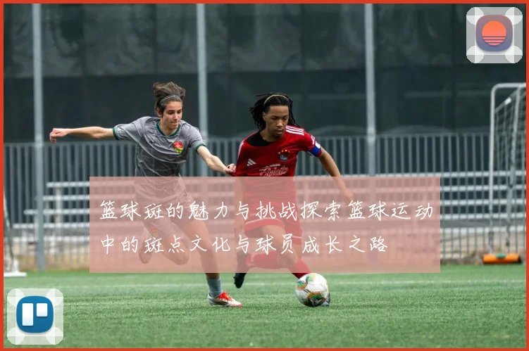 篮球斑的魅力与挑战探索篮球运动中的斑点文化与球员成长之路