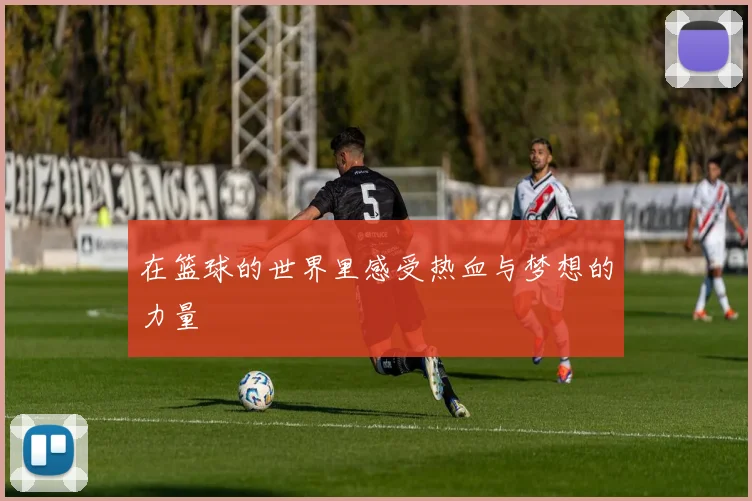 在篮球的世界里感受热血与梦想的力量