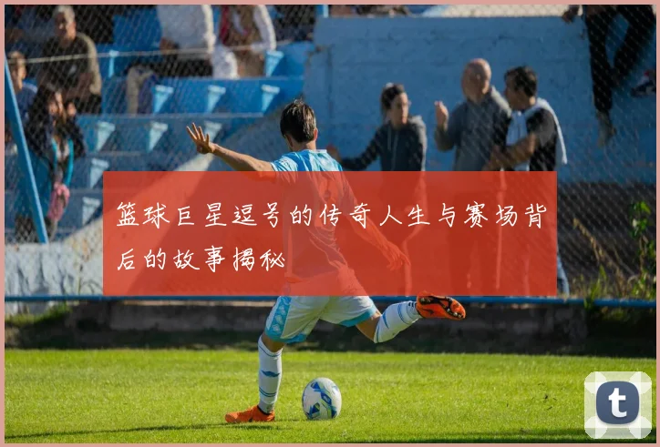 篮球巨星逗号的传奇人生与赛场背后的故事揭秘